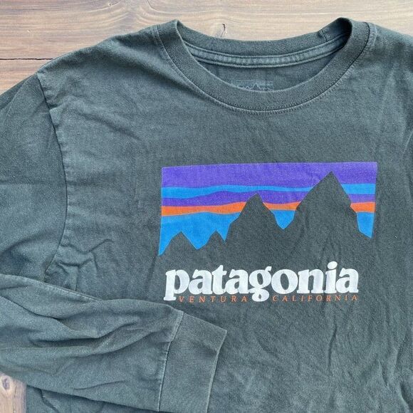 Patagonia Gray Long Sleeve Graphic Logo Hiking Mountain T Shirt Mens Size Small - Picture 1 of 6